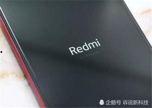 卢伟冰深夜爆料视频,揭秘手机行业幕后真相！”