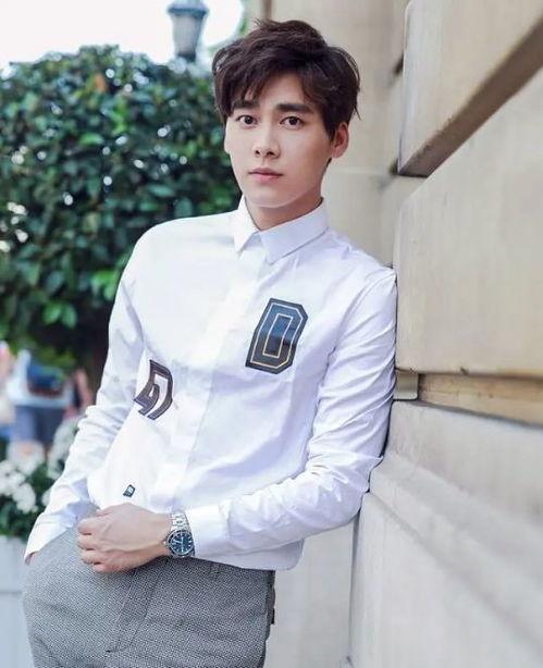 李易峰最新爆料官方,揭秘娱乐圈背后的惊人真相！