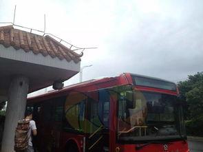 珠海公交车最新爆料