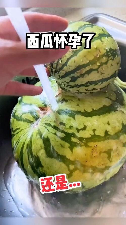 清凉吃瓜搞笑视频大全免费观看,清凉吃瓜搞笑视频大全免费畅享