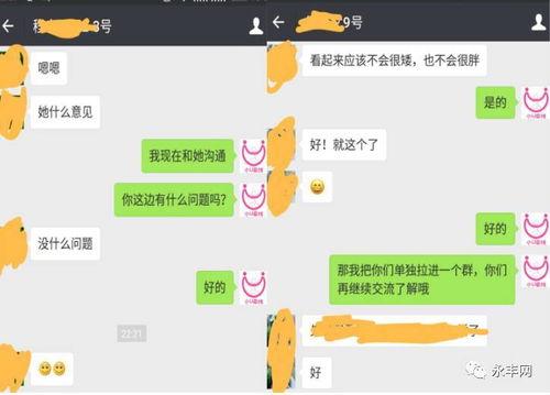 牵线在线观看,跨越时空的浪漫邂逅