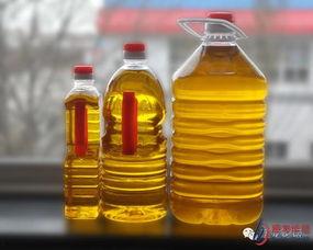 食用油厂家爆料视频,厂家爆料视频曝光惊人真相