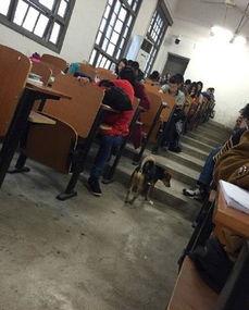 武汉教室在线观看,云端课堂，共享智慧教育新体验