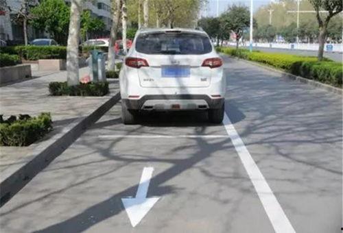 重庆停车爆料视频大全最新,最新爆料视频大盘点