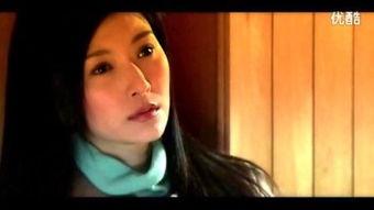 燃烧天堂在线观看,在线观看，揭秘末日世界的生存之战