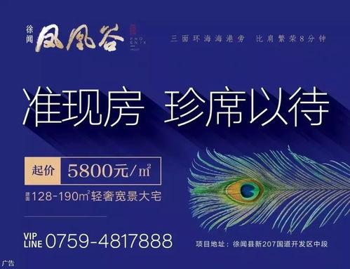 今日关注湛江爆料电话,揭开城市背后那些不为人知的秘密