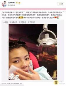 小白牙最新爆料视频下载,热点事件背后的真相全解析