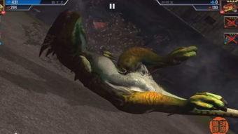 最新爆料异特龙视频播放,揭秘史前巨兽真实面貌