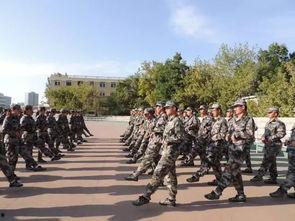 孝感学生军训爆料视频,青春汗水铸就国防情怀