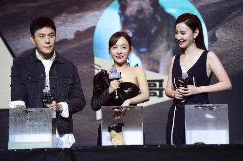 娱乐圈近期吃瓜汇总图,吃瓜群众狂欢时刻