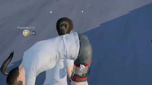 吃鸡载具爆料最新视频,最新视频曝光载具升级与玩法革新