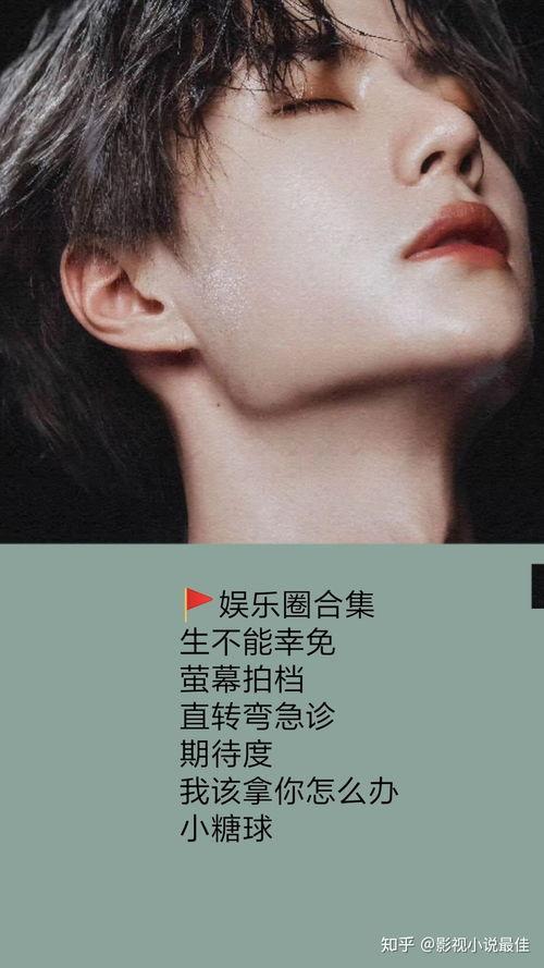 小说推娱乐圈爆料文,小说中的明星幕后故事大曝光！