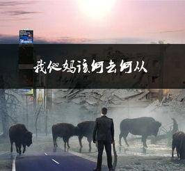 何去何从在线观看,探索人生抉择与命运轨迹的深度解读