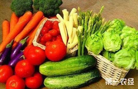 城菜棚吃瓜最新事件爆料,最新爆料揭示惊人内幕！”