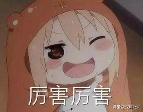 痴汉路线在线观看,一场惊心动魄的在线观看之旅