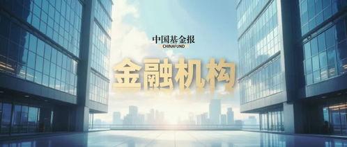 关于农行的最新爆料新闻,揭秘巨额资金流向与监管挑战